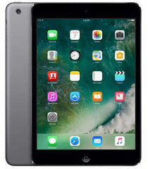 iPad Mini 2